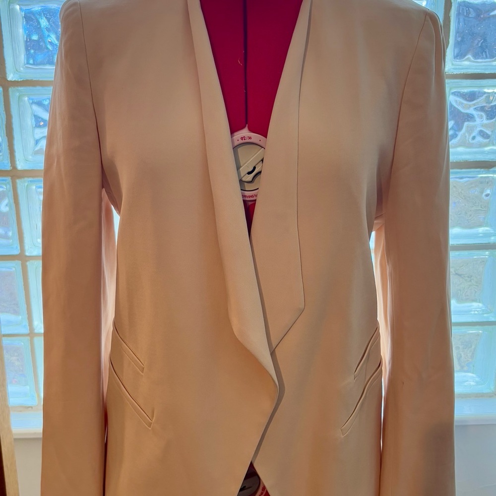Pale Pink Zara Blazer